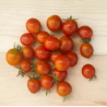 Tomate Cherry Centiflor
