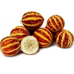 Melón tigre