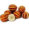 Melón tigre