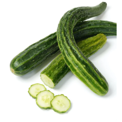 Pepino suyo long