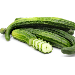 Pepino suyo long