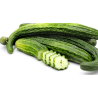 Pepino suyo long