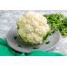 Coliflor