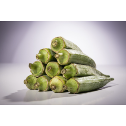 Okra