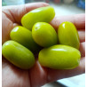 Tomate Cherry verde