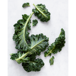 Kale crespo