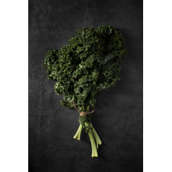 Kale crespo