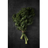 Kale crespo